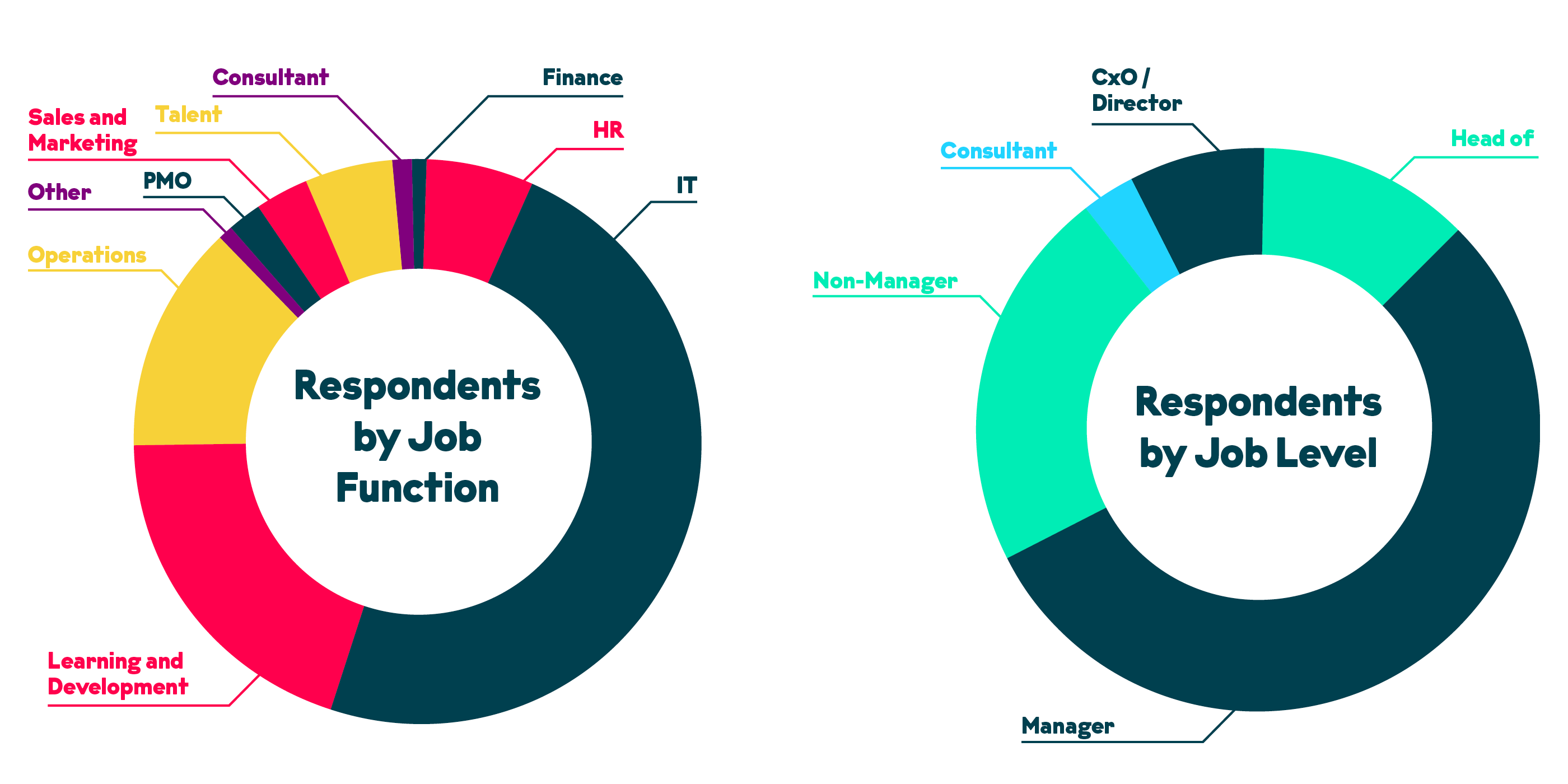 job levels and functions