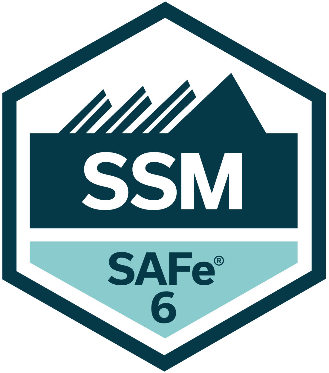 APM SAFe 6