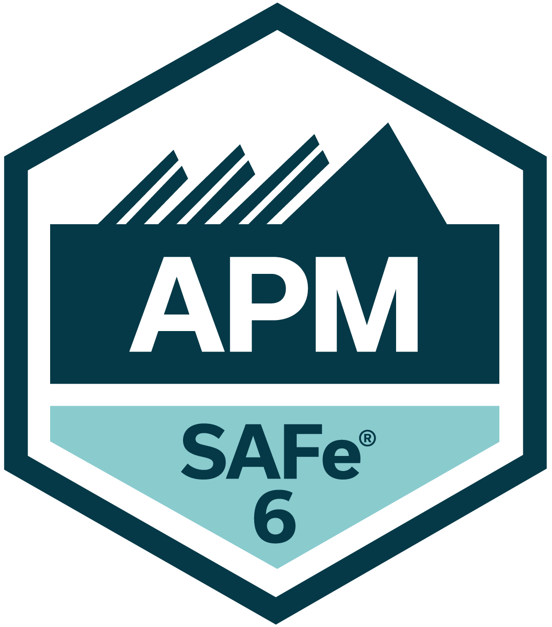 APM SAFe 6