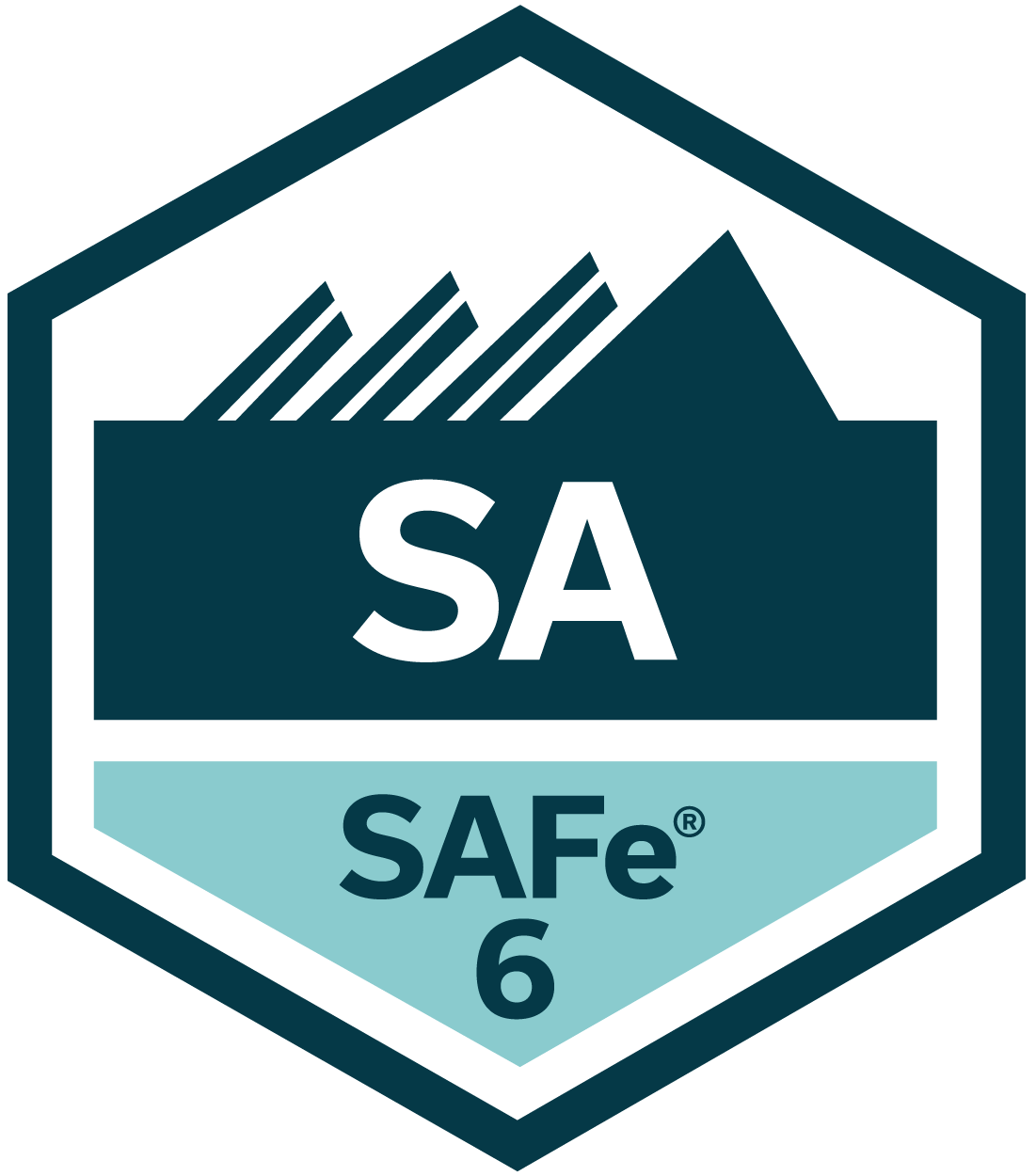 APM SAFe 6